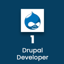 DrupalDeveloper