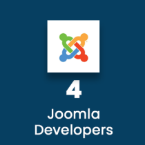 Joomla Developer