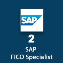SAP FICO Specialist