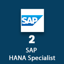 SAP HANA Specialist