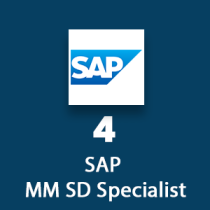SAP MM SD Specialist