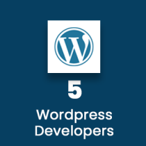 Wordpress Developer